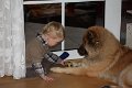 boji und thies (8)